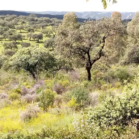 La Aulaga Casa rural